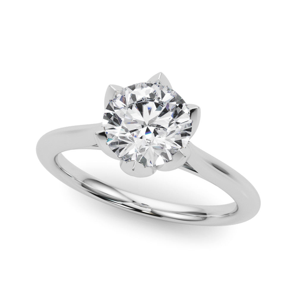 The Eva Ring - Image 5