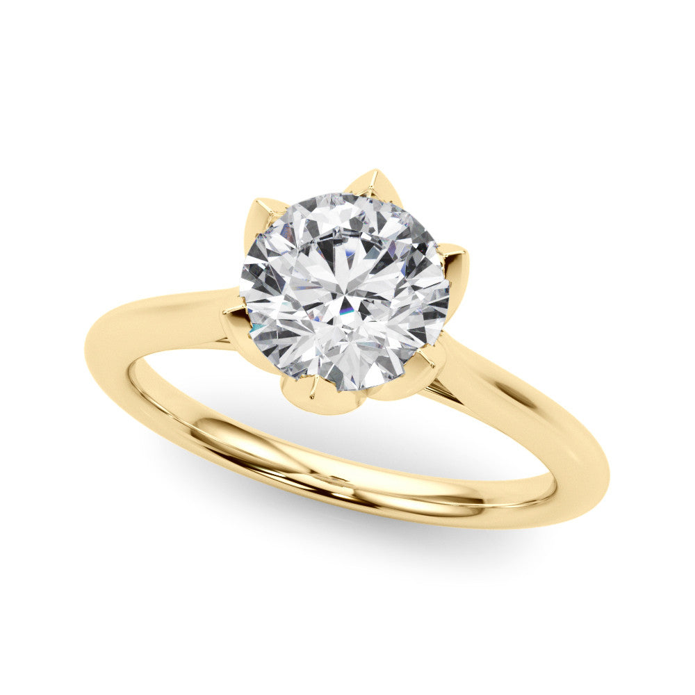 The Eva Ring