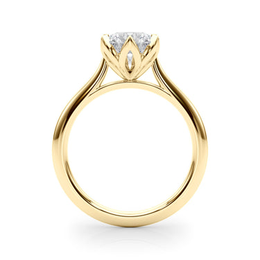 The Eva Ring - Image 2