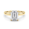 The Antoine Ring - Hidden Halo