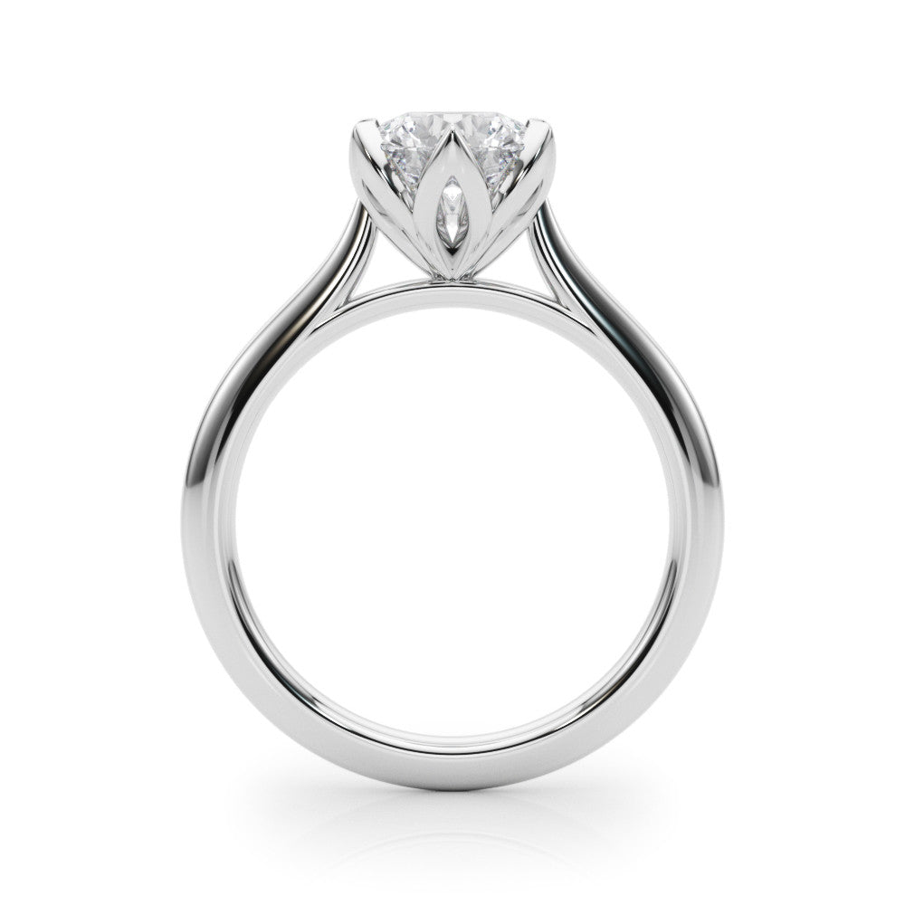 The Eva Ring - Image 6