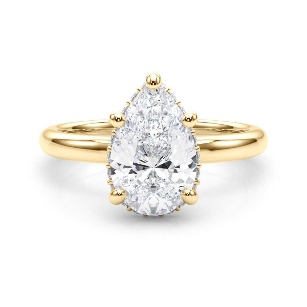 The Paula ring