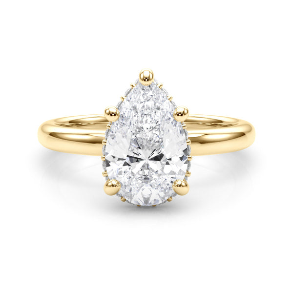 The Paula ring