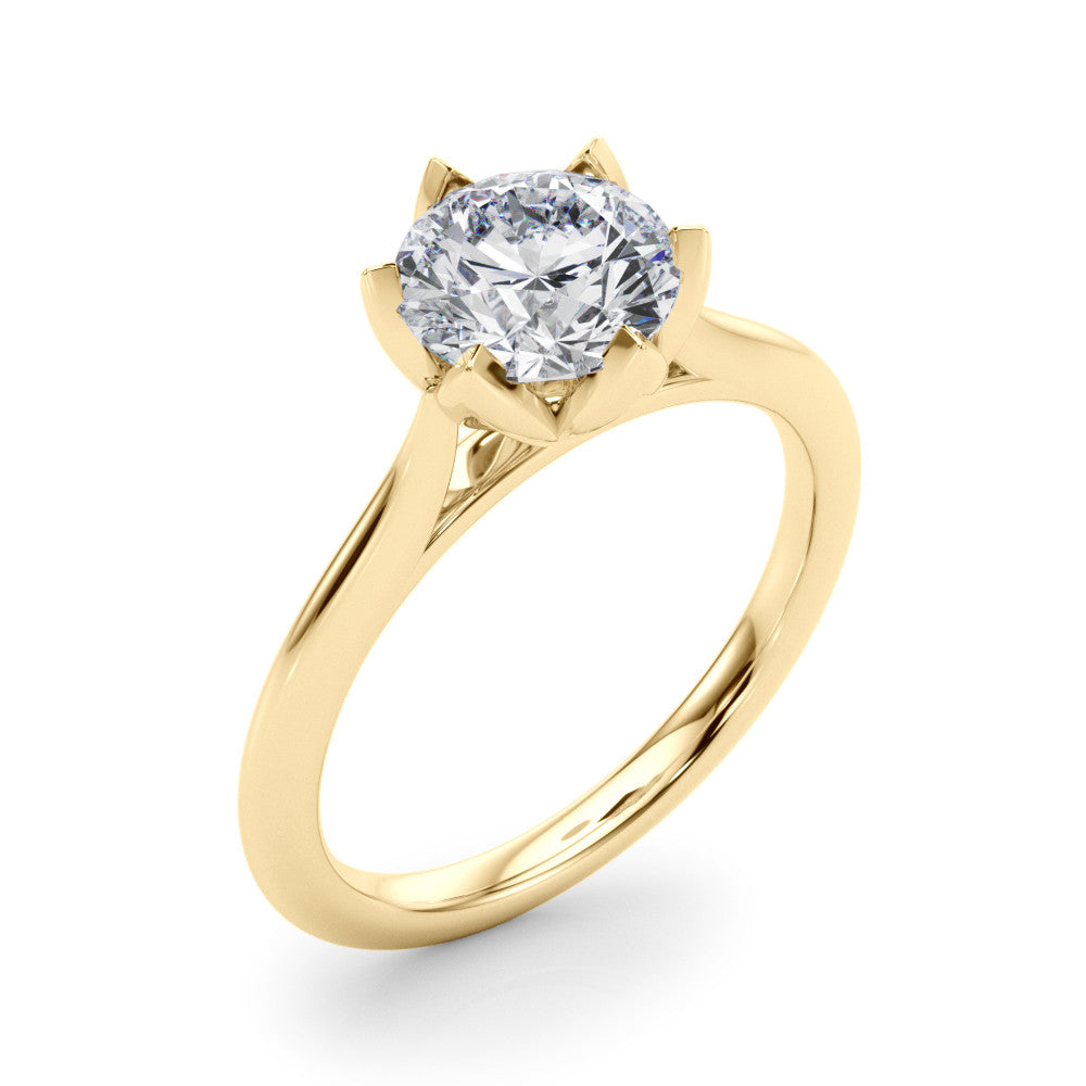 The Eva Ring - Image 3