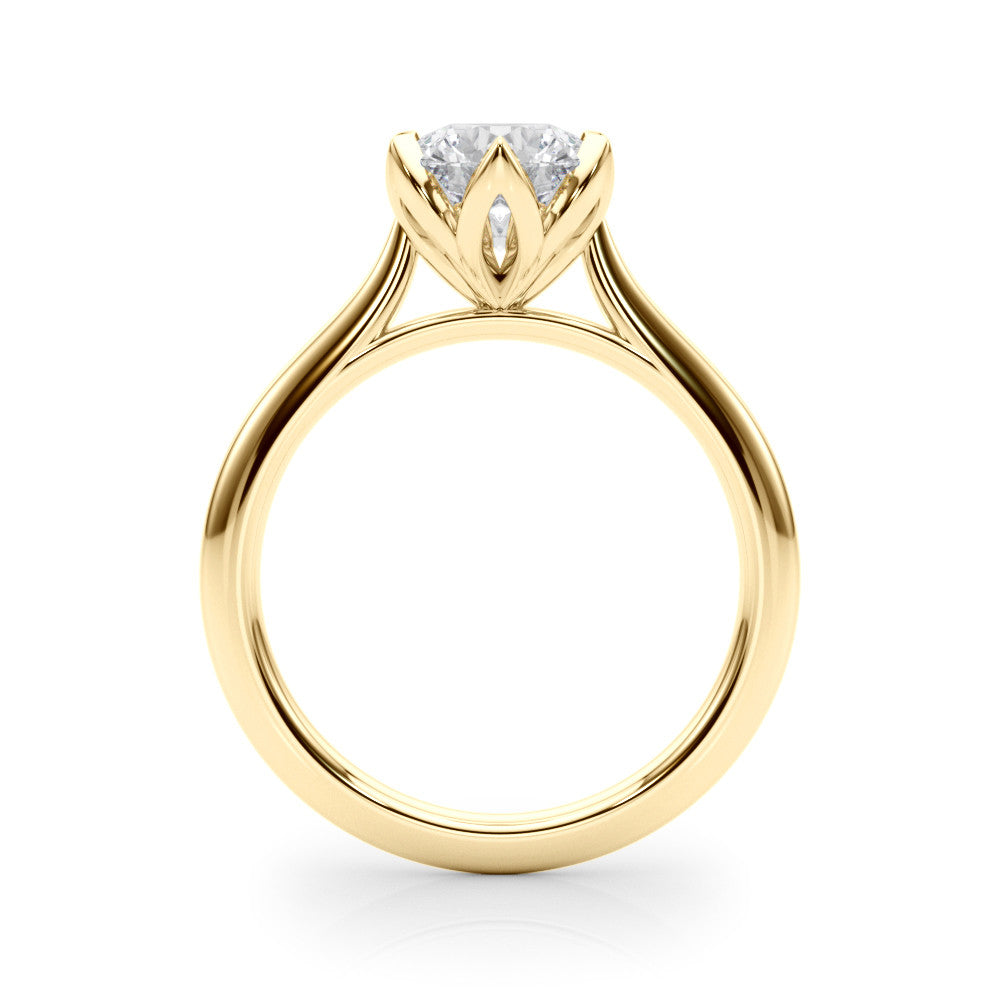 The Eva Ring - Image 2