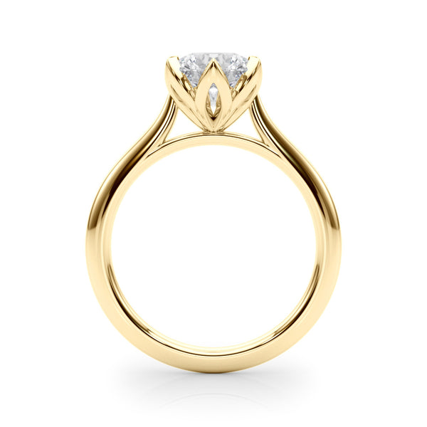 The Eva Ring - Image 2