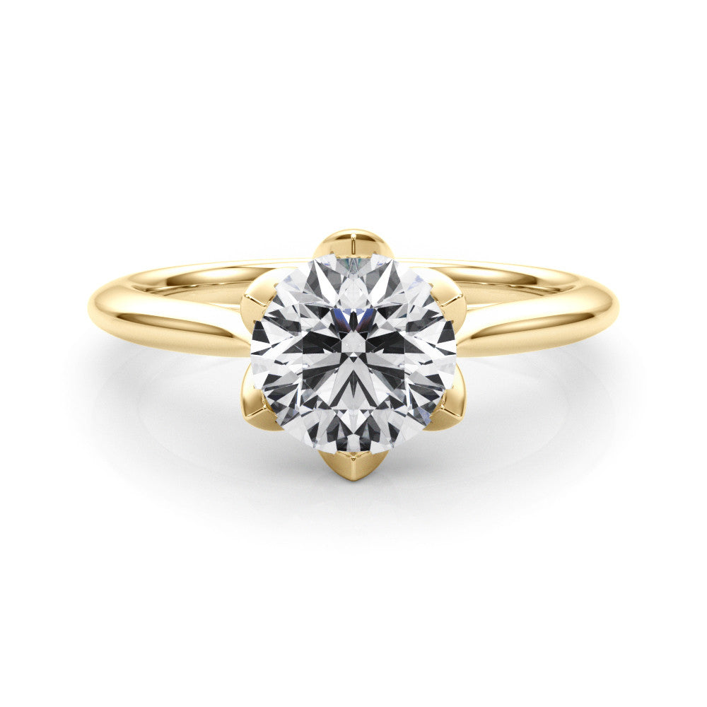 The Eva Ring - Image 4